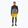 Pantaloncini da uomo 4F SKMF010 giallo 2