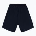 Pantaloncini da uomo 4F SKMF055 navy 2