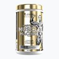 Integratore pre-allenamento Fitness Authority Levrone Gold Maryland Muscle Machine 385 g fruit punch