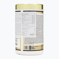 Fitness Authority Levrone Gold Maryland Muscle Machine pre-allenamento 385 g esotico 2