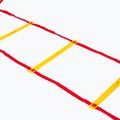 Scala di coordinamento Yakimasport 100140 6 m 2