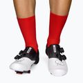 Calze da ciclismo Luxa Classic rosso 2