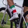 Calzini da ciclismo Luxa Flag 5