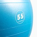 Palla da ginnastica Gipara Fitness 3001 55 cm blu 2