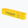 Set di nastri in tessuto per esercizi FORCEBAND Mini Band 5 pz. + E-BOOK multicolore 3