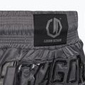 Pantaloncini da allenamento Octagon Kickboxing/Muay Thai Legion Future Premium black/grey 5