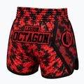 Pantaloncini da allenamento Octagon Legion Kickboxing/Muay Thai Premium blodline 2