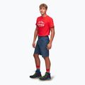 Alpinus Ferrera pantaloncini da trekking da uomo blu navy 2