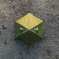 Tenda da trekking per 2 persone Alpinus Velebit 2 ALU verde 16