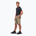 Pantaloncini da trekking da uomo Alpinus Terminio oliva 2