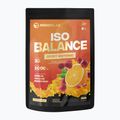 Bevanda isotonica MONDOLAB Balance Bitter Cranberry Punch 1000 g