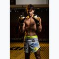 Guanti da boxe DBX BUSHIDO "HAWK Active Clima nero e oro B-2v17 11