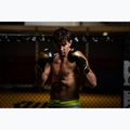 Guanti da boxe DBX BUSHIDO "HAWK Active Clima nero e oro B-2v17 12