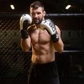DBX BUSHIDO B-2V20 Guanti da sparring Active Clima 17
