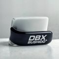 Ferro da boxe DBX BUSHIDO Ferro black/silver 5