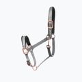 FERA Equestrian Basic Cavezza integrale grigia per cavalli