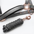 FERA Equestrian Basic Cavezza integrale grigia per cavalli 2