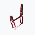 FERA Equestrian Basic Cob cavezza da cavallo bordeaux