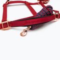 FERA Equestrian Basic Cob cavezza da cavallo bordeaux 2