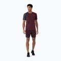 Pantaloncini da uomo 4F M290 bordeaux
