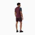 Pantaloncini da uomo 4F M290 bordeaux 2