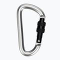 Salewa Carbiner a forma di D con vite grigio 2