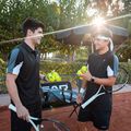 Palline da tennis HEAD Tour 4 pz. 4