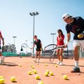 Palline da tennis HEAD Tour 4 pz. 6