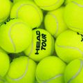 Palline da tennis HEAD Tour 4 pz. 8