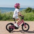 Bicicletta per bambini ATTABO KNACK 14" rosa 12