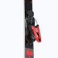 Sci da discesa Rossignol Hero Elite ST TI K + attacchi NX 12 Konect GW 5