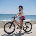 Bicicletta per bambini ATTABO RASH 20" rame 14