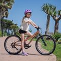 Bicicletta per bambini ATTABO RASH 24" rame 14