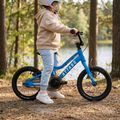 Bicicletta da bambino ATTABO EASE 14" blu 6