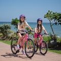 Bicicletta per bambini ATTABO EASE 24" rosa 14