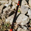 Bastoni da trekking KADVA Tengri regolabili rossi 13