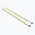 Scala di coordinazione OneTeam S-AG LADDER 6M yellow 7