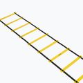 Scala di coordinazione OneTeam S-AG LADDER 6M yellow