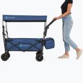 AQUASTIC Cart blu 8