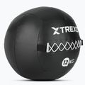 TREXO Wall Ball 12 kg nero 2
