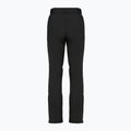Pantaloni da sci da donna DISUMER Alpine Pants WMNS Black 12