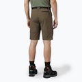 Pantaloni da uomo KADVA Seto marrone 2