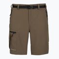 Pantaloncini da uomo KADVA Seto brown 7