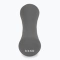 Manubrio in neoprene XTREXO TX0-B4M007 0,5 kg grigio 3