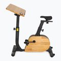 E-bike XTREXO EB400-desk black 3