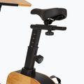 E-bike XTREXO EB400-desk black 6