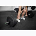Olympic griffin TREXO TX-OBB220 grigio 6