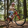 Bicicletta per bambini ATTABO EASE 24" rosso 4