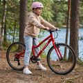Bicicletta per bambini ATTABO EASE 24" rosso 6