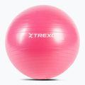 XTREXO Gymball TXO-B4Z007-PK 55 cm rosa